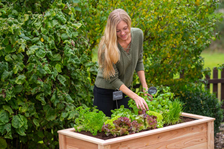 WESTMANN Hochbeet Emily